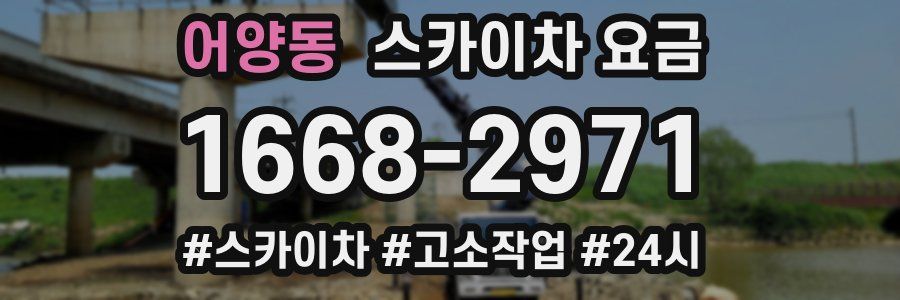 어양동 스카이차 요금