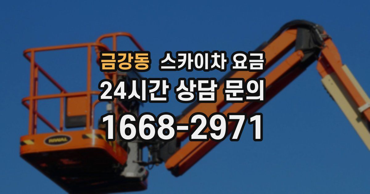 금강동 스카이차 요금