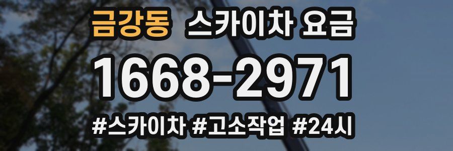 금강동 스카이차 요금