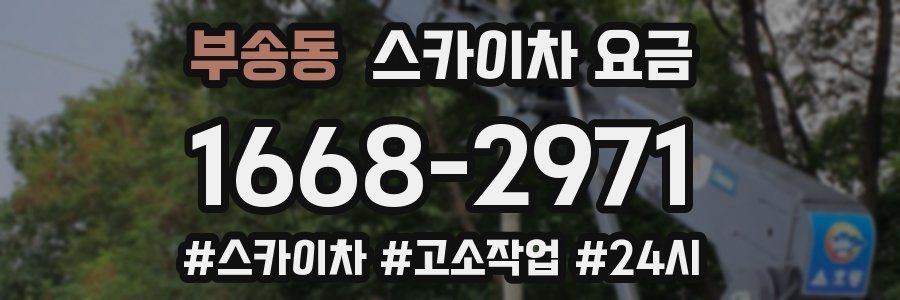 부송동 스카이차 요금