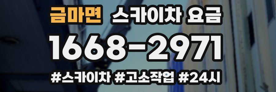 금마면 스카이차 요금