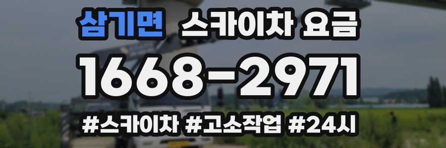삼기면 스카이차 요금