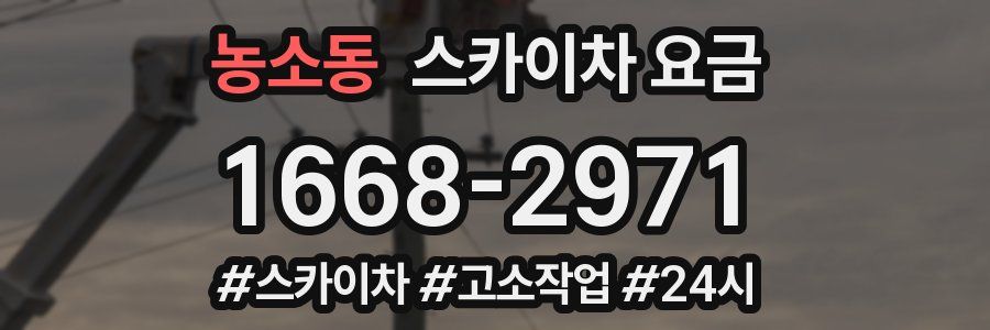 농소동 스카이차 요금