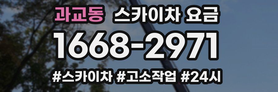 과교동 스카이차 요금