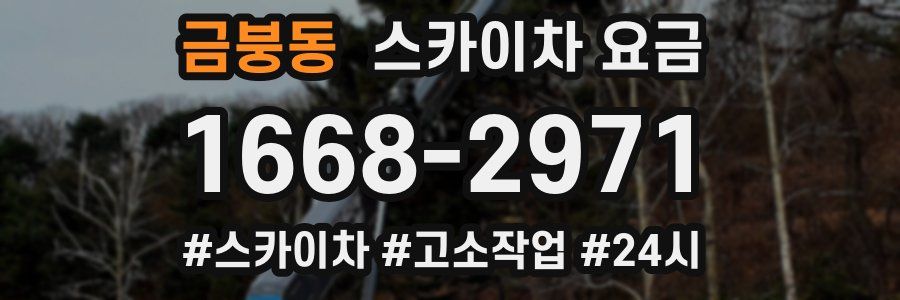 금붕동 스카이차 요금