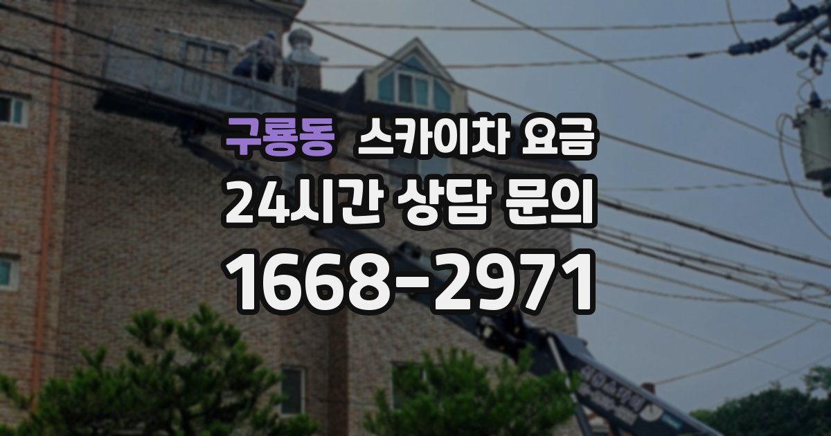 구룡동 스카이차 요금