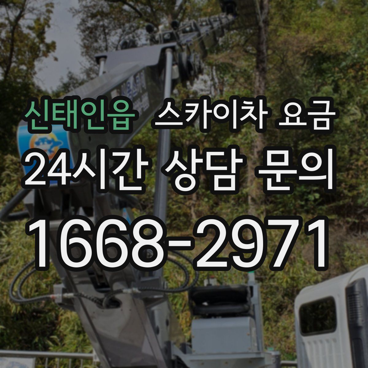 신태인읍 스카이차 요금