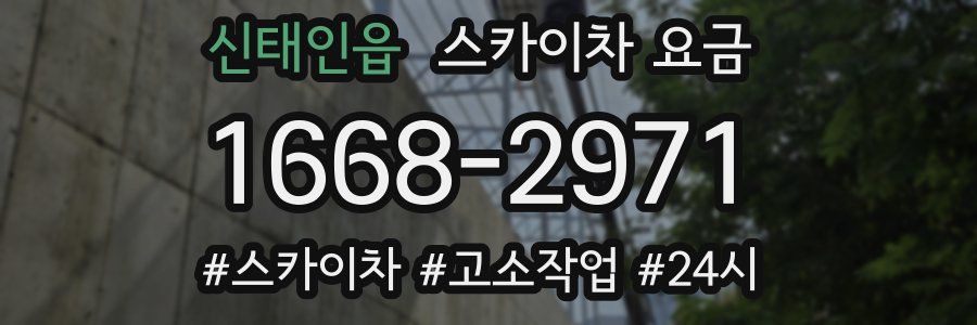 신태인읍 스카이차 요금