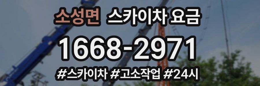 소성면 스카이차 요금