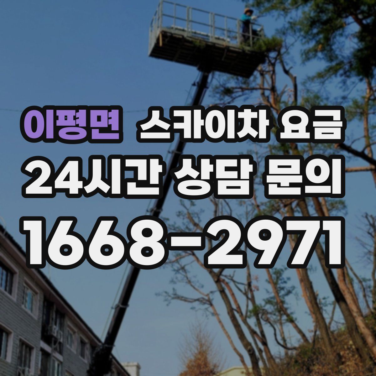 이평면 스카이차 요금