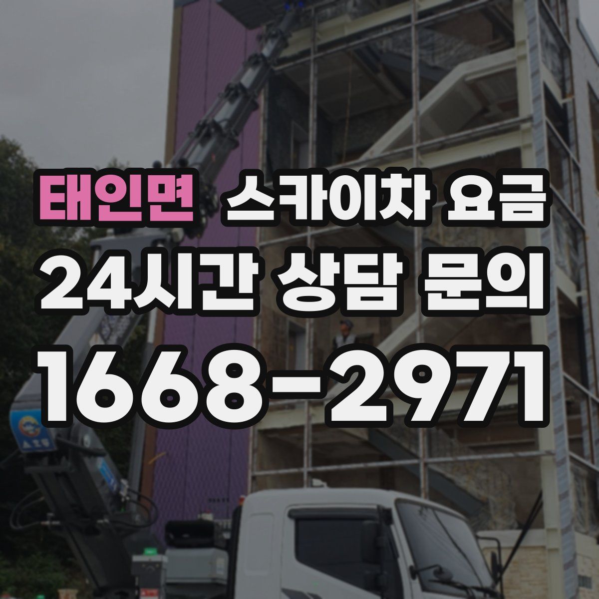 태인면 스카이차 요금