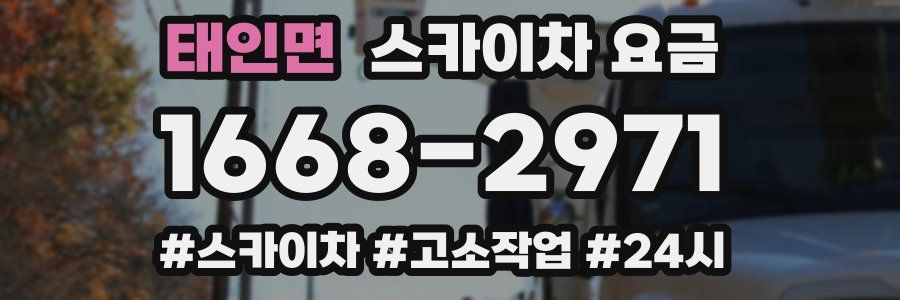 태인면 스카이차 요금