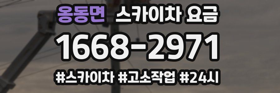 옹동면 스카이차 요금