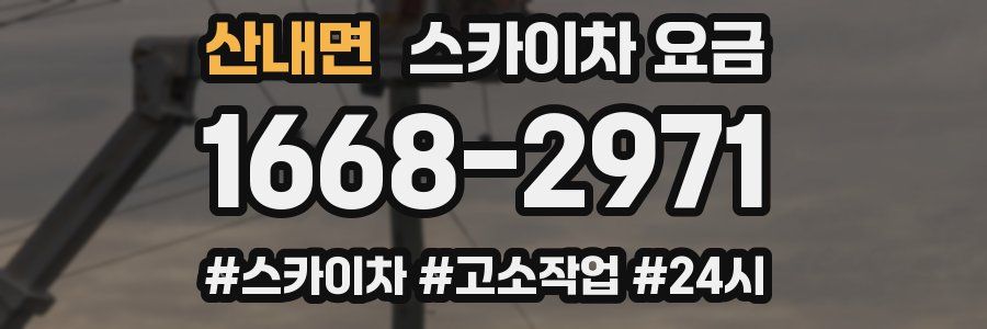 산내면 스카이차 요금