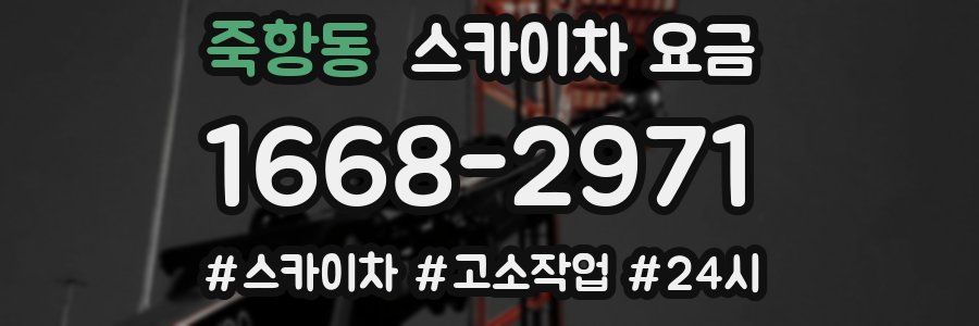 죽항동 스카이차 요금
