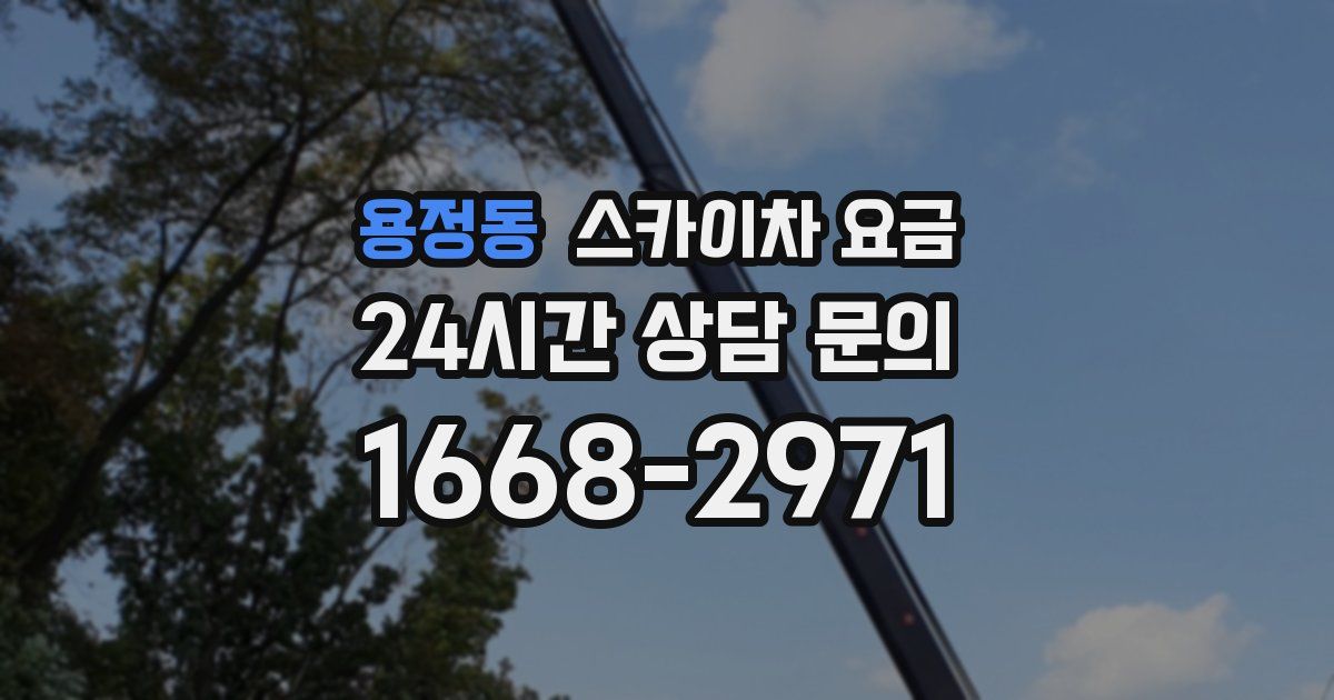 용정동 스카이차 요금