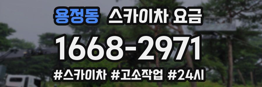 용정동 스카이차 요금