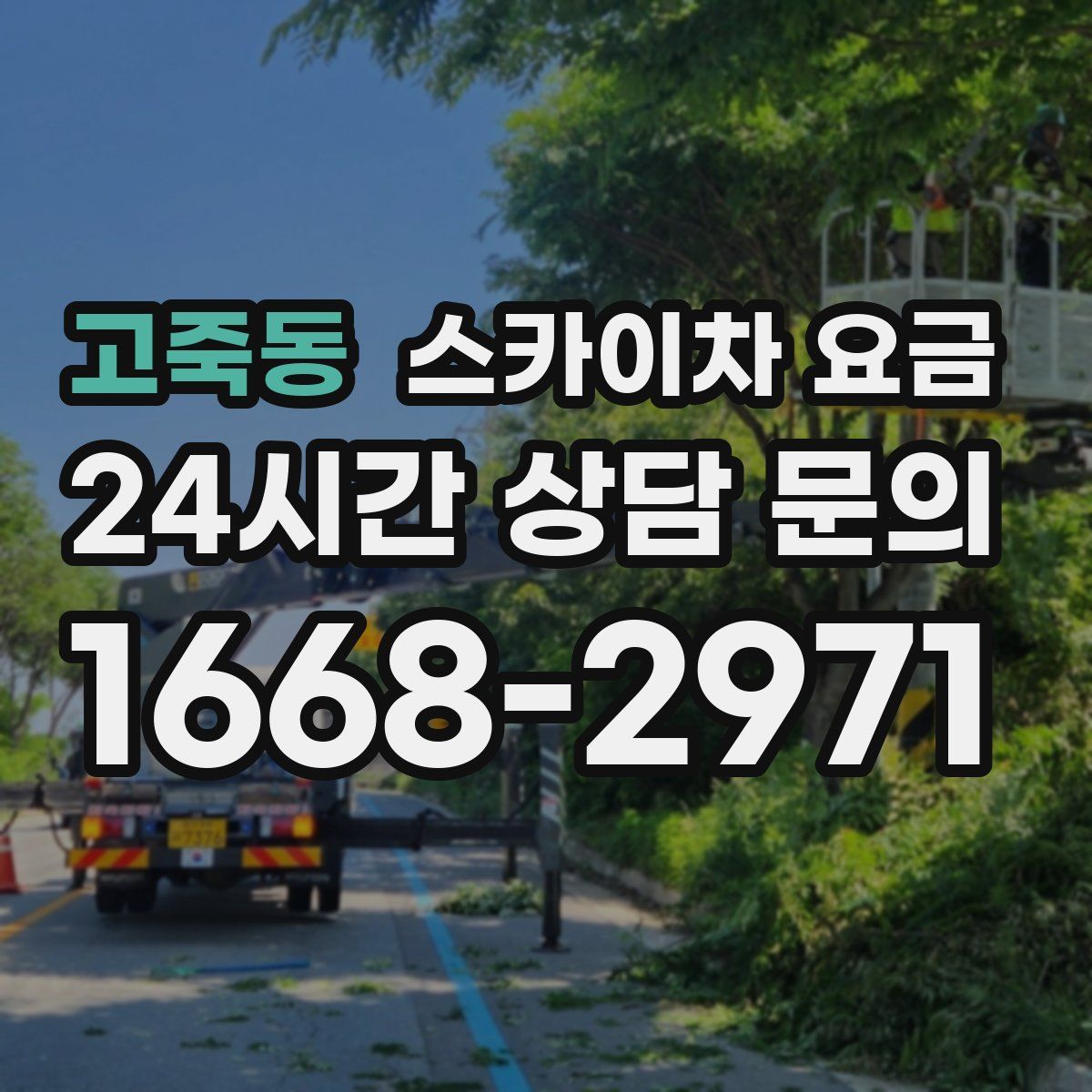 고죽동 스카이차 요금