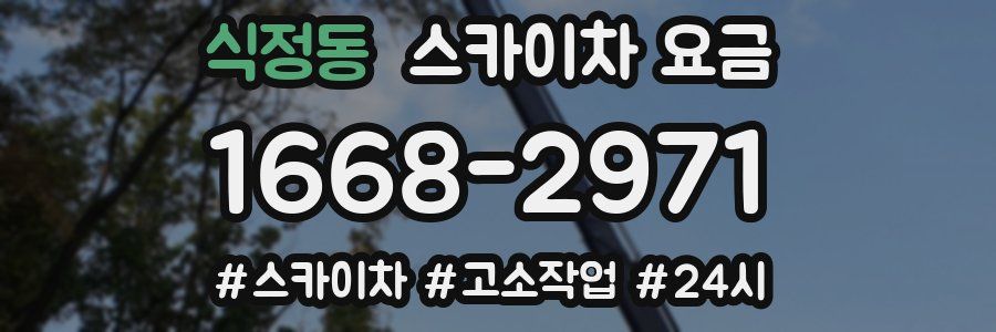 식정동 스카이차 요금