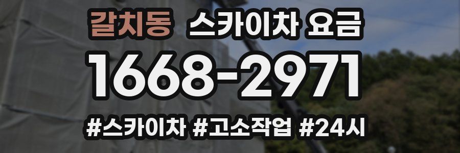 갈치동 스카이차 요금