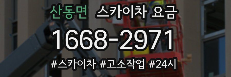 산동면 스카이차 요금