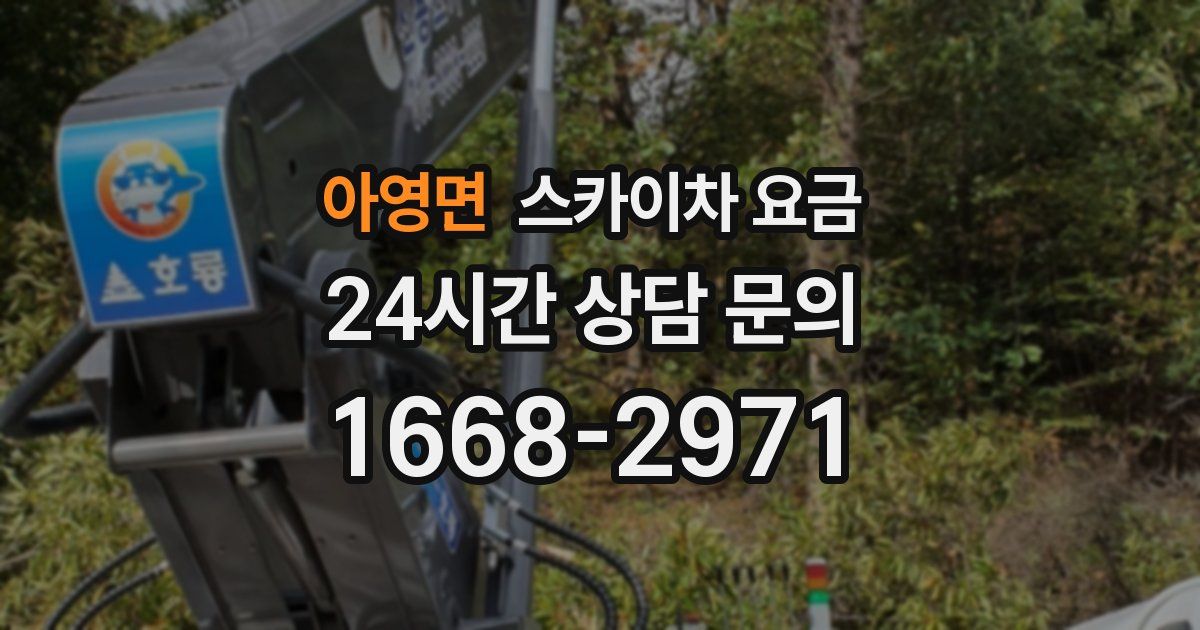 아영면 스카이차 요금
