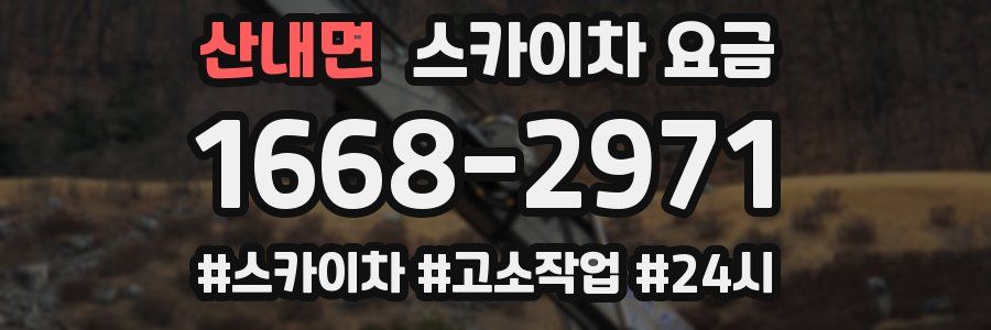 산내면 스카이차 요금