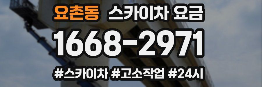 요촌동 스카이차 요금