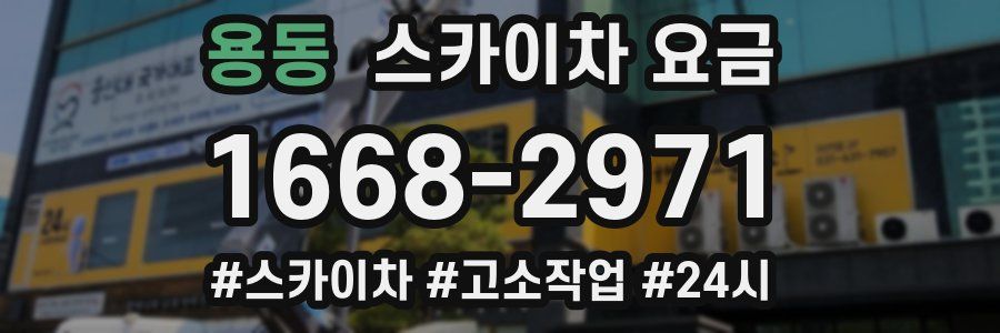 용동 스카이차 요금