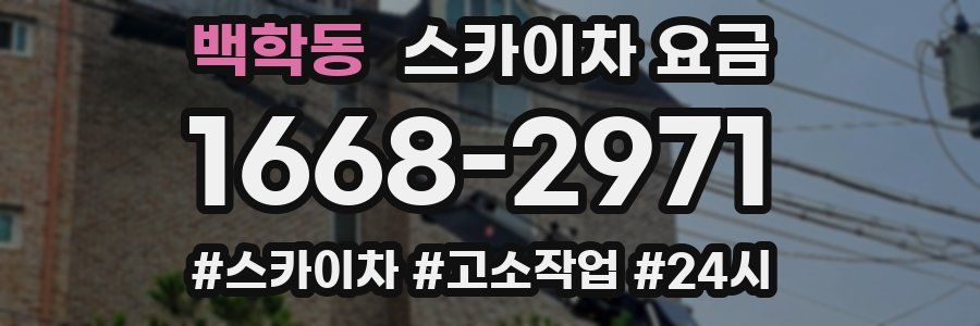 백학동 스카이차 요금