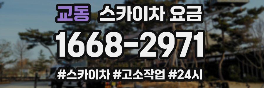 교동 스카이차 요금