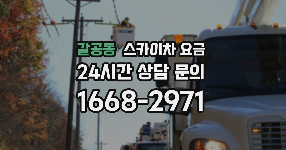 갈공동 스카이차 요금