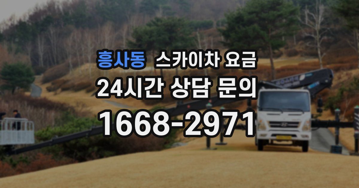 흥사동 스카이차 요금