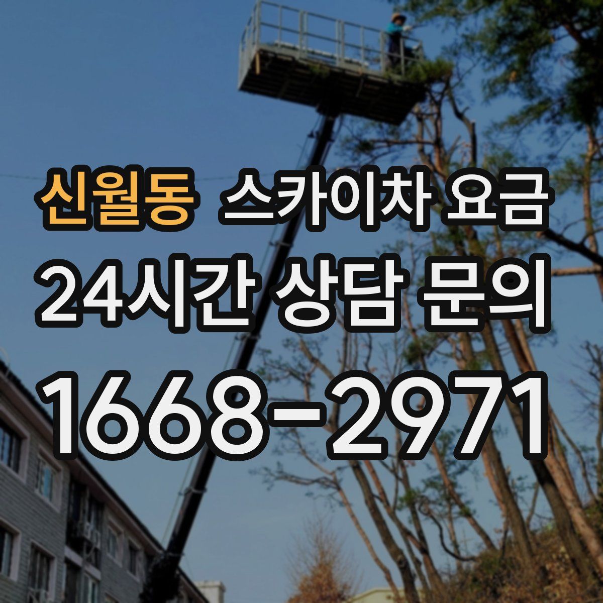 신월동 스카이차 요금