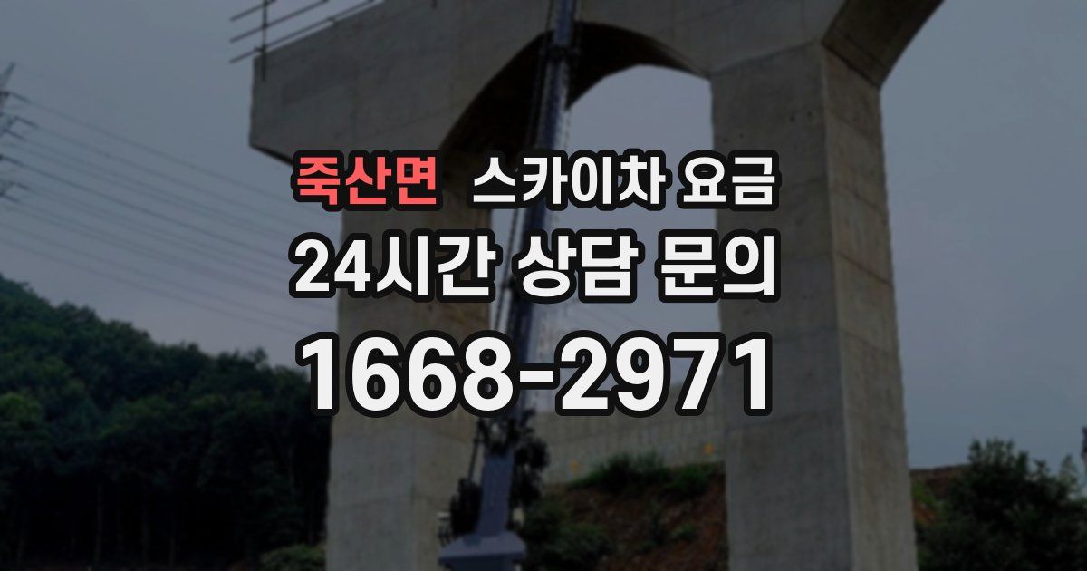 죽산면 스카이차 요금