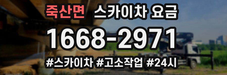 죽산면 스카이차 요금