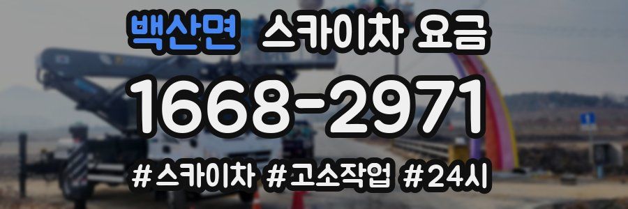 백산면 스카이차 요금