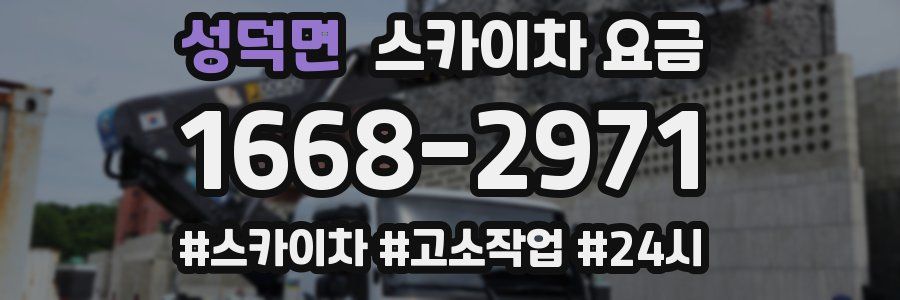 성덕면 스카이차 요금
