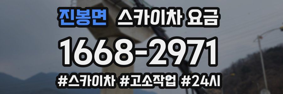 진봉면 스카이차 요금