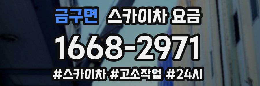 금구면 스카이차 요금