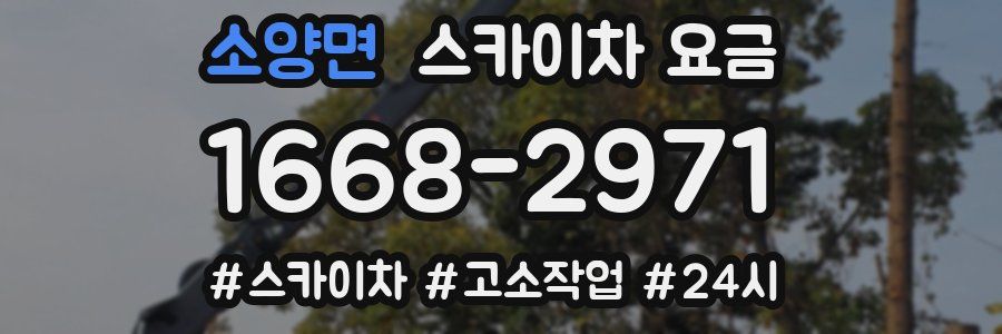 소양면 스카이차 요금
