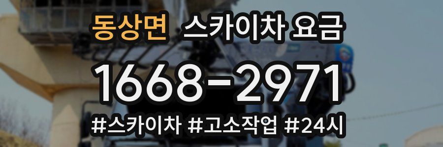 동상면 스카이차 요금