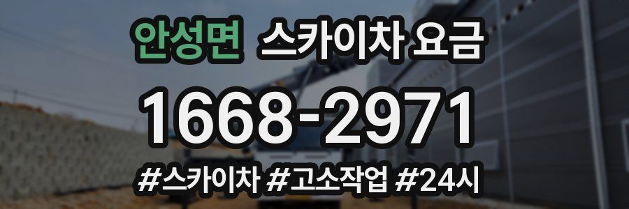 안성면 스카이차 요금