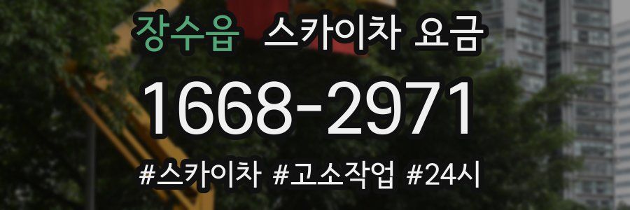 장수읍 스카이차 요금