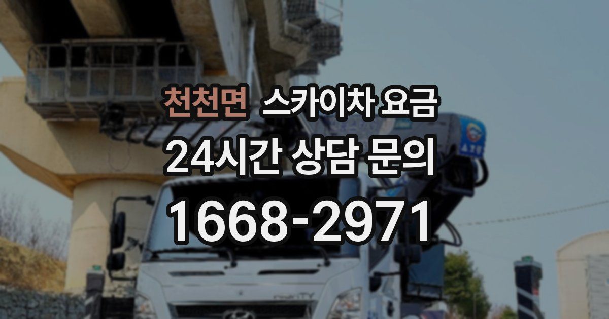 천천면 스카이차 요금