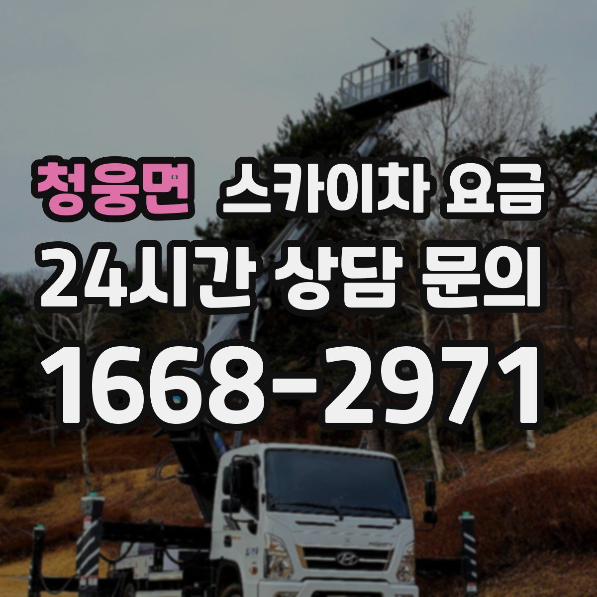 청웅면 스카이차 요금