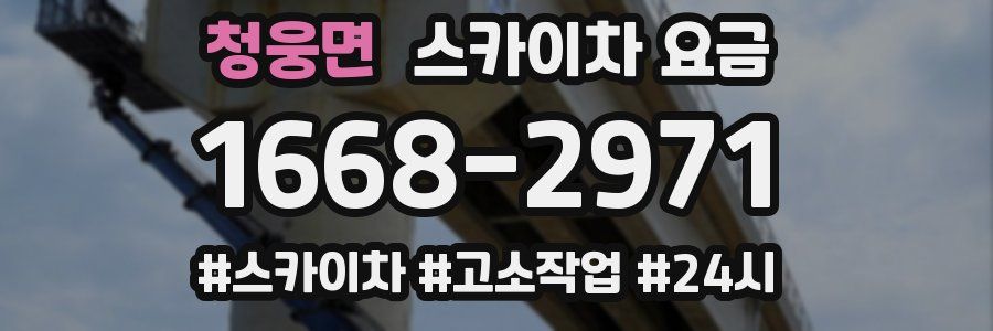 청웅면 스카이차 요금