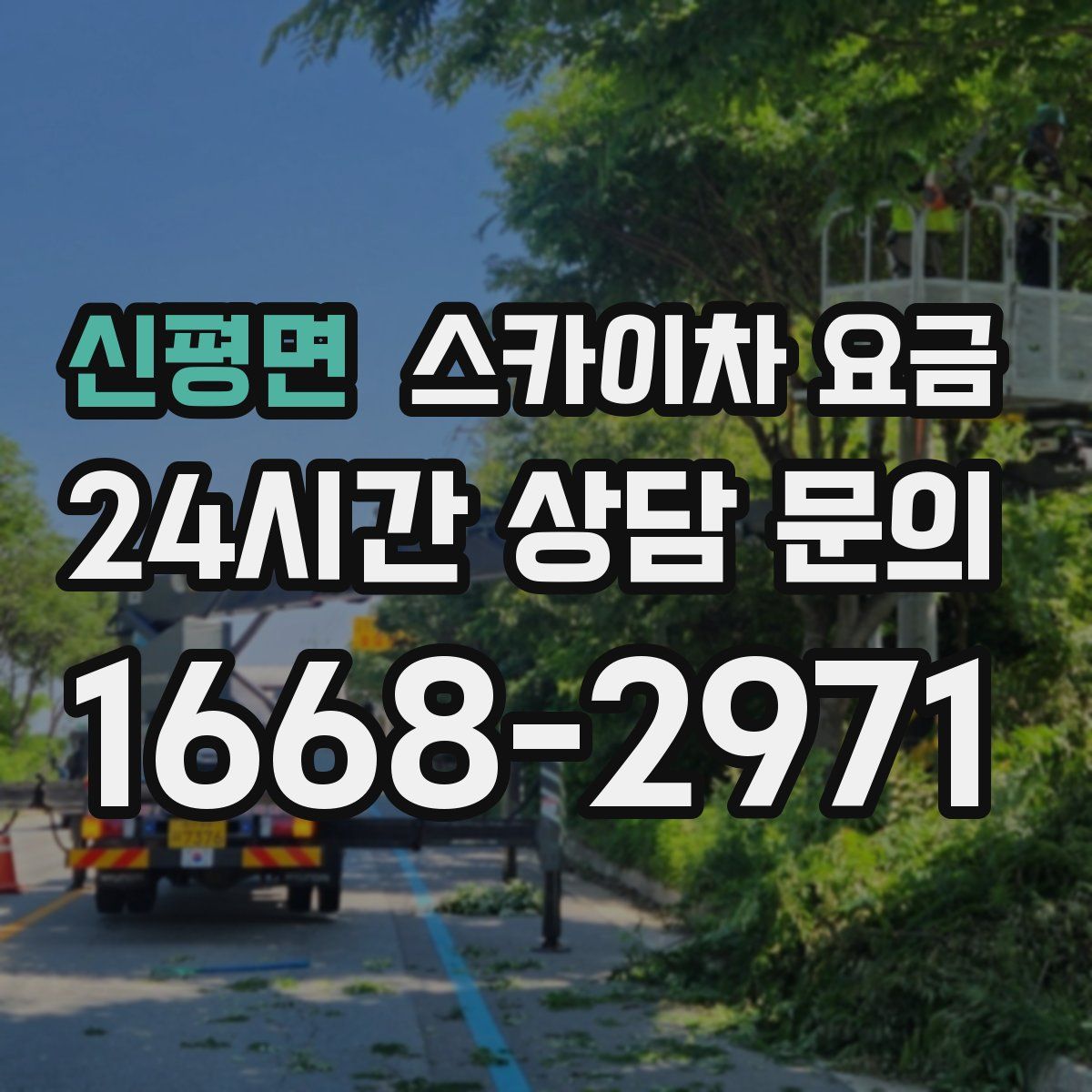 신평면 스카이차 요금