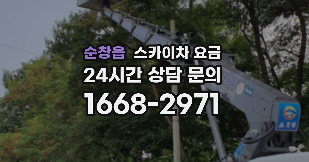 순창읍 스카이차 요금