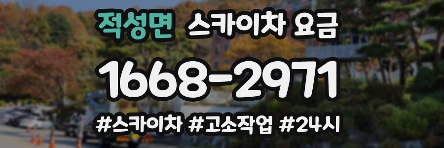 적성면 스카이차 요금
